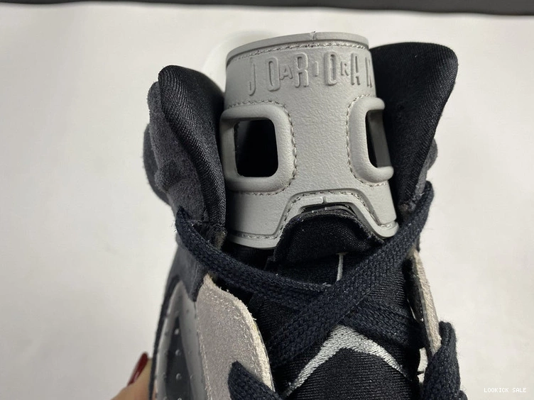 Cheap Jordan Chrome 6  Air “Tech 0518